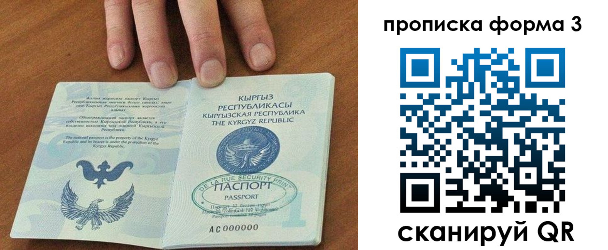 прописка 2025 в Калмыкии